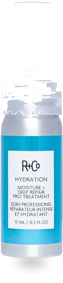 R+Co Hydration Moisture + Deep Repair Pro Treatment