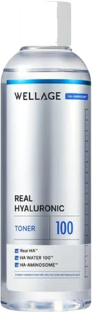 WELLAGE Real Hyaluronic 100 Toner